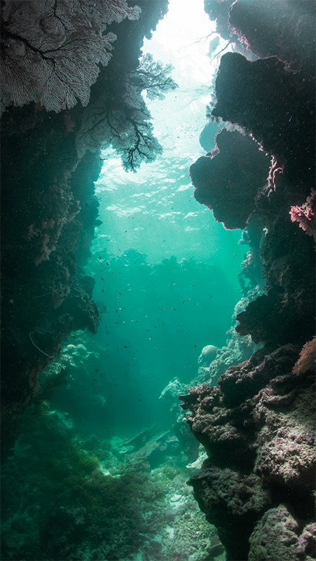 Elodie-mazan-psychothérapie-capsizun-finistere-mon-approche